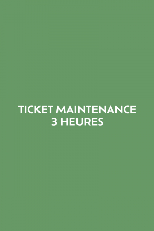 Ticket 3 heures de maintenance