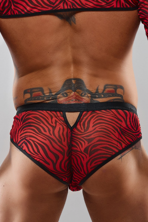Slip type brésilien zébré rouge et noir - Regnes – Image 4