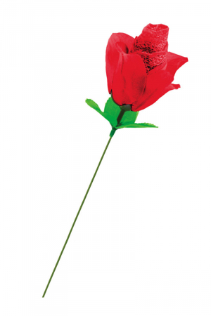 Rose surprise avec petite culotte - Fun Novelties – Image 3