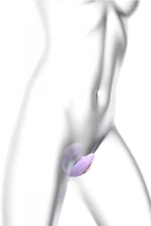 Double stimulateur Wonderlover mauve - Love to Love – Image 4