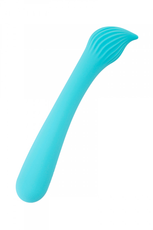 Vibro rechargeable Passionmania bleu - FairyGasm – Image 2