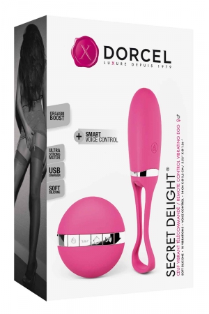 Oeuf vibrant télécommandé Secret Delight – Image 4