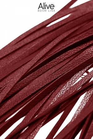 Fouet rouge - Alive – Image 4