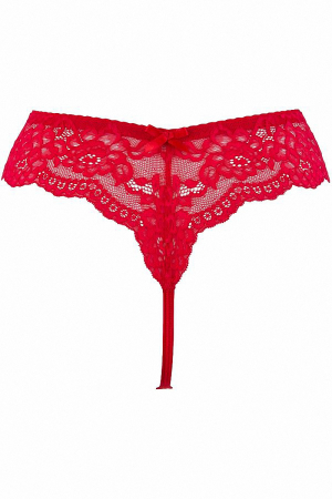 String brésilien V-9698 - Axami – Image 4