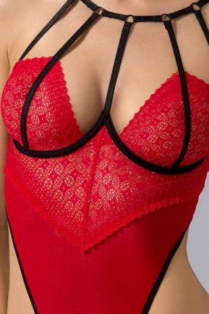 Body ouvert Akita – Image 2