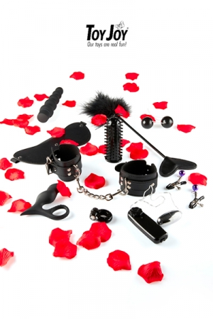 Lovetoy starter kit – Image 2