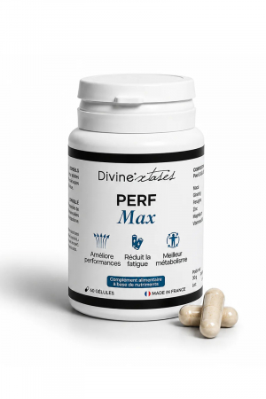 Perf Max - Divinextases