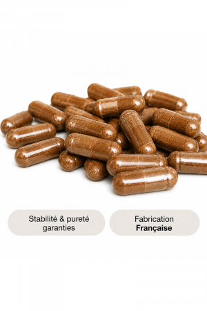 Erec Plus - Divinextases – Image 3